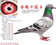 ������˳�Ҿ����