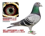 �������뽻������