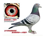 �������뽻������