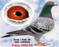 ɽ���а¹�������