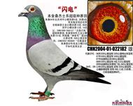 ����������ҵ