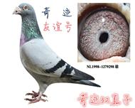 漣32ֱ漣ֲ