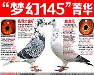 �԰���ʿ���ơ��λ�145���λ���ϣ�����