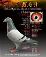 ���ɹŰ�ͷָ�������