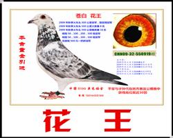 ����������Ʒ��