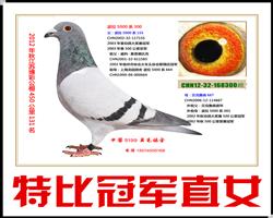 ���ʹ���131��