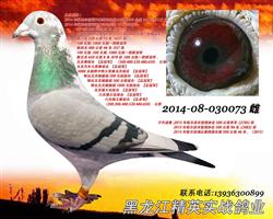 ��Ӣʵս��ҵ