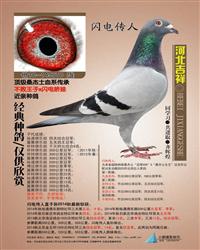 �ӱ�����