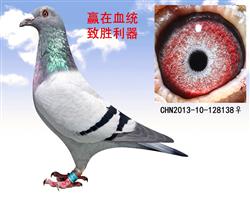 ����019*ղɭ����ھ���ת�ã�