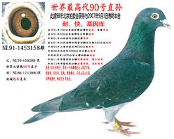 ������1�Ÿ�ҵ