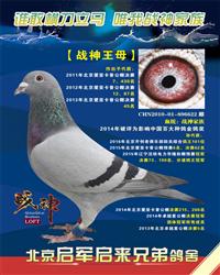 ���������ֵܸ���