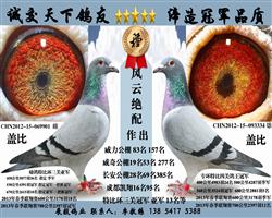 ���ƾ���