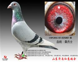 ɣ��ʿ��һ��ʿ