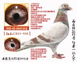 CEOƷ