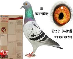 �����ǿ�������֮����