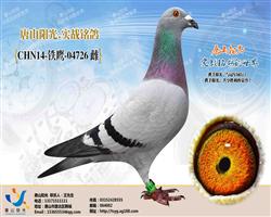 ��ɽ����