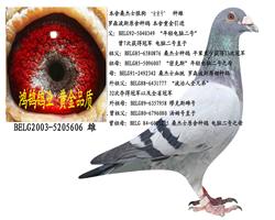 ��ɭ��˹ԭ��ɣ��ʿ�ǹ��š���ͯ��