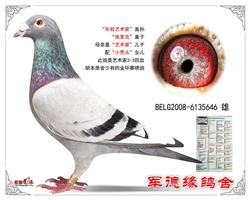 ����Ե����