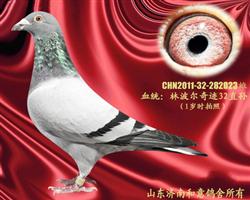 ���ֲ����漣32������