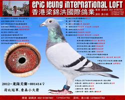 �����������ʸ�ҵ