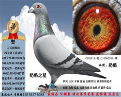 ����֮��