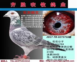 ��ʤũ����ҵ