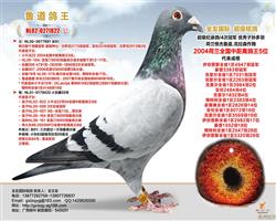 ȫ�ѹ�������