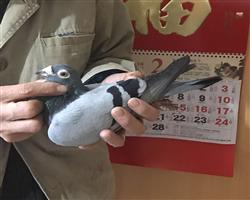 2000����ھ����������(ת�ã�