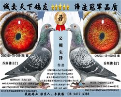 �����ȷ�