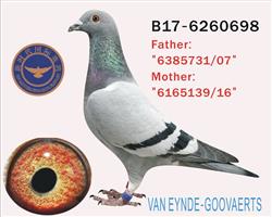 ������С�ӡ�˫�ؽ��ף�������С�ӡ��߱���