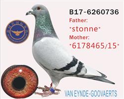 ������С�ӡ����ؽ��ף�������С�ӡ��߱���