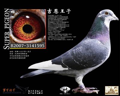 Ӻֱӡ959