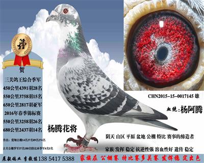 ���ڻ���