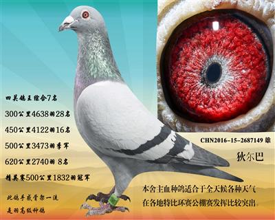 ھ