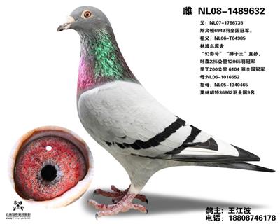 ֲ