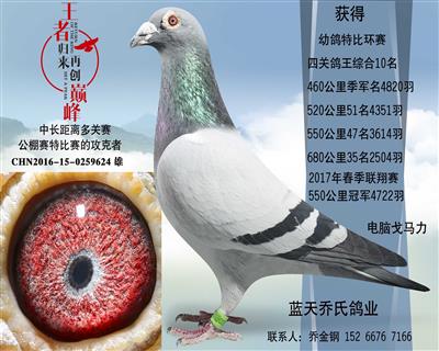 ϵֱ