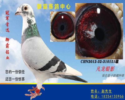 �������----������Ӱ