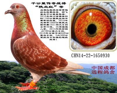 ǧչ顰±족