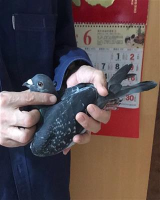 2000������ھ�������ϣ�ת�ã�