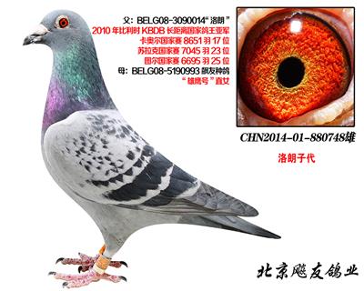 KBDBȫǾʺšֱ748