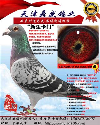 ���������š�