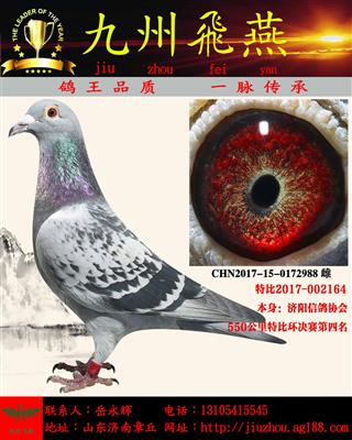 �رȻ�������