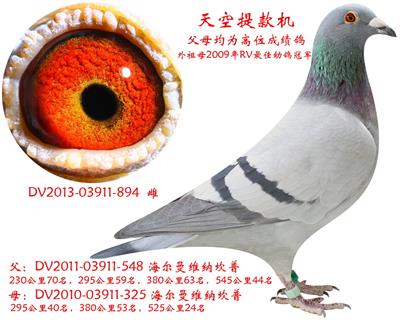 �ʼҽ��Ƹ���