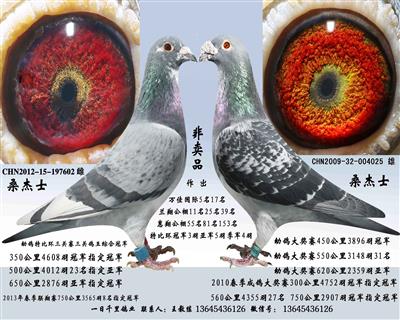 Ǩָ֧ԮԵ