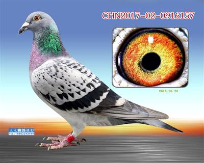 �����������Ǿ�