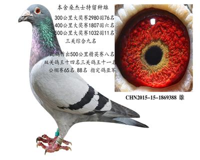 ɣʿ388