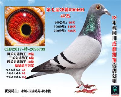 ��������ھ�