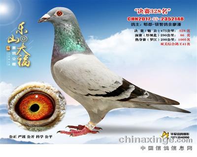 �������š�ֱ��141ֱ��