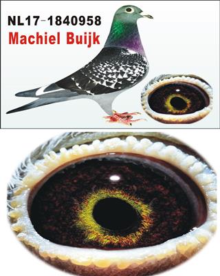 ��ڵ�һ�ˡ���Ъ��.����ԭ�᡿