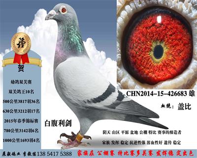 �׸�����